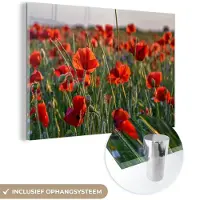 MuchoWow Glasschilderij 30x20 cm - Schilderij acrylglas - Bloemen - Klaprozen - Natuur - Rood - Foto op glas - Muurdecoratie woonkamer - Wanddecoratie slaapkamer - Schilderijen