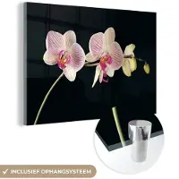 MuchoWow Glasschilderij 180x120 cm - Schilderij acrylglas - Orchidee - Bloemen - Zwart - Roze - Knoppen - Foto op glas - Muurdecoratie woonkamer - Wanddecoratie slaapkamer - Schilderijen