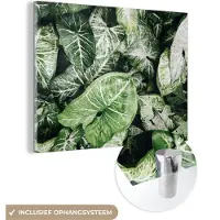 MuchoWow Glasschilderij 40x30 cm - Schilderij acrylglas - Bladeren - Planten - Natuur - Foto op glas - Schilderijen