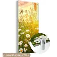 MuchoWow Glasschilderij 20x40 cm - Schilderij acrylglas - Bloemen - Madelief - Natuur - Zon - Horizon - Foto op glas - Muurdecoratie woonkamer - Wanddecoratie slaapkamer - Schilderijen