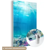 MuchoWow - Glasschilderij - Acrylglas - Vissen - Onderwaterwereld - Water - Tropische vissen - Foto op glas - 120x180 cm - Glasschilderij zee - Schilderij glas - Glasschilderij natuur