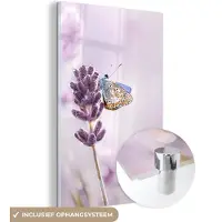 MuchoWow - Glasschilderij - Lavendel - Vlinder - Bloemen - Botanisch - Acrylglas - Foto op glas - 40x60 cm - Glasschilderij bloemen - Schilderij glas - Muurdecoratie glas
