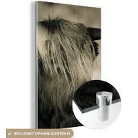 MuchoWow Glasschilderij 40x60 cm - Schilderij acrylglas - Schotse Hooglander - Dieren - Haar - Foto op glas - Schilderijen