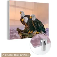 MuchoWow Glasschilderij - Foto op glas - Vogels - Dieren - Arend - Roofvogel - Takken - Acrylglas - 120x90 cm - Glasschilderij vogels - Schilderij glas - Wanddecoratie glas - Glasschilderij dieren