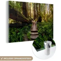 MuchoWow Glasschilderij 90x60 cm - Schilderij acrylglas - Jungle - Natuur - Trap - Bomen - Foto op glas - Muurdecoratie woonkamer - Wanddecoratie slaapkamer - Schilderijen