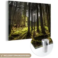 MuchoWow Glasschilderij 30x20 cm - Schilderij acrylglas - Boom - Natuur - Zon - Bos - Foto op glas - Schilderijen