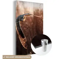 MuchoWow Glasschilderij - Foto op glas - Acrylglas - Vogel - Uil - Zonsondergang - Natuur - Wanddecoratie - 80x120 cm - Glasschilderij vogels - Schilderij glas - Glasschilderij uil - Kamerdecoratie