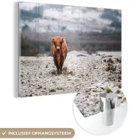 MuchoWow Glasschilderij 60x40 cm - Schilderij acrylglas - Schotse Hooglander - Sneeuw - Berg - Foto op glas - Schilderijen