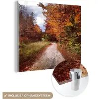 MuchoWow Glasschilderij 50x50 cm - Schilderij acrylglas - Herfst - Herfstbladeren - Pad - Bos - Foto op glas - Schilderijen