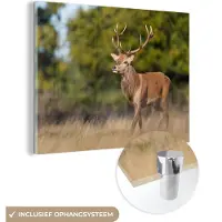 MuchoWow Glasschilderij - Hert - Natuur - Heide - Dieren - Landschap - Schilderij glas - Foto op glas - Acrylglas - 40x30 cm - Wanddecoratie - Muurdecoratie - Schilderijen woonkamer
