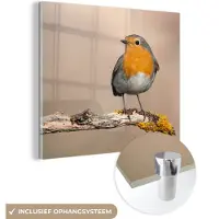 MuchoWow - Glasschilderij - Foto op glas - Roodborstje - Vogel - Takken - Dier - Acrylglas - Slaapkamer - Wanddecoratie - 50x50 cm - Glasschilderij natuur - Schilderij glas