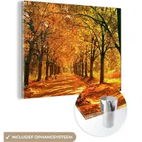 MuchoWow Glasschilderij 160x120 cm - Schilderij acrylglas - Bos - Herfst - Seizoenen - Landelijk - Foto op glas - Schilderijen