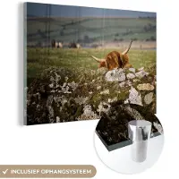 MuchoWow Glasschilderij 120x80 cm - Schilderij acrylglas - Schotse Hooglander - Stenen - Gras - Foto op glas - Schilderijen