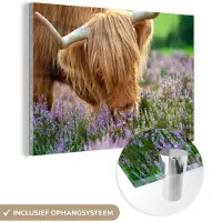 MuchoWow Glasschilderij 150x100 cm - Schilderij acrylglas - Schotse Hooglander - Gras - Heide - Dieren - Foto op glas - Schilderijen
