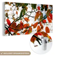 MuchoWow Glasschilderij 160x80 cm - Schilderij acrylglas - Herfst - Bladeren - Landelijk - Seizoenen - Foto op glas - Schilderijen