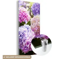 MuchoWow Glasschilderij - Acrylglas - Hortensia - Bloemen - Planten - Bladeren - Natuur - Foto op glas - 60x120 cm - Schilderij bloemen - Schilderij glas - Wanddecoratie - Kamer decoratie