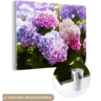 MuchoWow Glasschilderij - Acrylglas - Hortensia - Bloemen - Planten - Bladeren - Natuur - Foto op glas - 160x120 cm - Schilderij bloemen - Schilderij glas - Wanddecoratie - Kamer decoratie