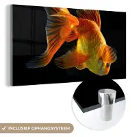 MuchoWow Glasschilderij 40x20 cm - Schilderij acrylglas - Goudvis - Dieren - Zwart - Foto op glas - Schilderijen