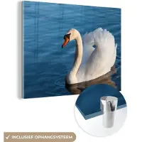 MuchoWow Glasschilderij - Foto op glas - Acrylglas - Zwaan - Vogel - Water - Landschap - 160x120 cm - Schilderij glas - Glasschilderij vogels - Glasschilderij dieren - Kamer decoratie