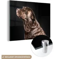 MuchoWow Glasschilderij 160x120 cm - Schilderij acrylglas - Hond - Bruin - Portret - Foto op glas - Schilderijen