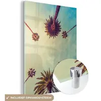 MuchoWow Glasschilderij - Foto op glas - Palmboom - Lucht - Natuur - 120x160 cm - Acrylglas - Woonkamer - Schilderij glas - Glasschilderij natuur - Wanddecoratie glas - Kamerdecoratie