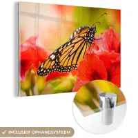 MuchoWow Glasschilderij 180x120 cm - Schilderij acrylglas - Bloemen - Vlinders - Monarch - Foto op glas - Schilderijen