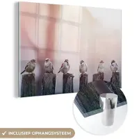 MuchoWow - Glasschilderij - Acrylglas - Vogel - Mus - Paal - Lucht - Foto op glas - Wanddecoratie - 60x40 cm - Glasschilderij vogels - Glasschilderij dieren - Muurdecoratie - Slaapkamer