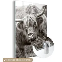 MuchoWow Glasschilderij 30x40 cm - Schilderij acrylglas - Schotse Hooglander - Zwart - Wit - Hoorns - Foto op glas - Schilderijen