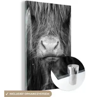 MuchoWow Glasschilderij 40x60 cm - Schilderij acrylglas - Schotse Hooglander - Haar - Dieren - Foto op glas - Schilderijen