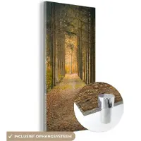 MuchoWow Glasschilderij 20x40 cm - Schilderij acrylglas - Pad - Bomen - Bos - Foto op glas - Schilderijen