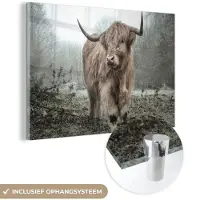 MuchoWow Glasschilderij 60x40 cm - Schilderij acrylglas - Schotse hooglander - Natuur - Herfst - Dieren - Wild - Bos - Foto op glas - Muurdecoratie woonkamer - Wanddecoratie slaapkamer - Schilderijen