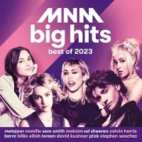 Universal Music Belgie Various Artists - MNM Big Hits Best Of 2023 (3 CD)