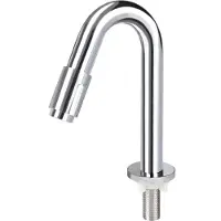 Differnz Fonteinkraan gebogen 19cm chroom
