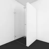 Van Rijn Nisdeur Products GL12 200x100 cm Chroom