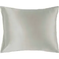 Lenoites Mulberry Silk Pillowcase 50x60 cm Grey