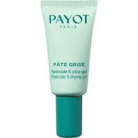 Payot Pate Grise Special 5 Cica 15ml Gezichtsbehandeling