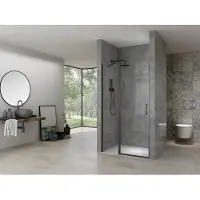 Van Rijn ST02 Nisdeur 88x200cm met draaideur zwart