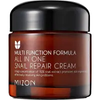 Mizon All In One Snail Repair Cream - 75 ml