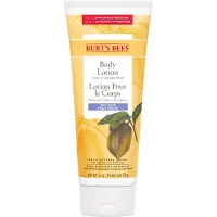 Burt's Bees Body Lotion With Cocoa & Cupuacu Butters 170 g