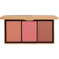 Jason Wu - Blush Trio Palette - Sexed - 14.4g