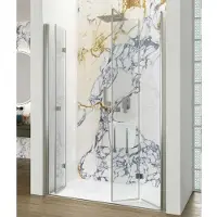 Lacus Nisdeur albarella saloon inklap deur 180x190 cm chroom