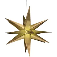 Anna's Collection Kerstster 3D op batterijen | 60 cm | Goud | 10 lampjes