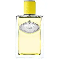 Prada Les Infusions d'Ylang Eau de Parfum 100 ml