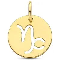The Jewelry Collection Geelgouden Hanger sterrenbeeld steenbok 4023524
