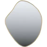 vidaXL Wandspiegel 60x50 cm goudkleurig