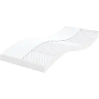 vidaXL Schuimmatrassen 2 st 7 zones hardheid 20 ILD 90x190 cm wit