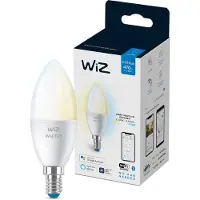 Wiz WARM-WARM WH E27 40W MAT