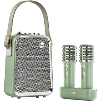 Divoom Songbird HQ - Karaokeset - 2 Microfoons - 50Wh - 8 uur speeltijd - Groen