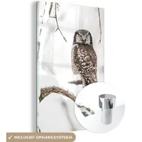 MuchoWow Glasschilderij 20x30 cm - Schilderij acrylglas - Uil - Sneeuw - Winter - Vogels - Portret - Foto op glas - Muurdecoratie woonkamer - Wanddecoratie slaapkamer - Schilderijen