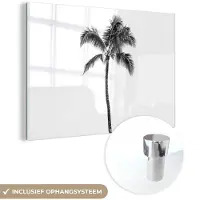 MuchoWow Glasschilderij 180x120 cm - Schilderij acrylglas - Palmboom - Tropisch - Zwart wit - Foto op glas - Schilderijen